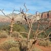 Sedona Vortex Gal Avatar