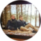 Hayden Walters Avatar